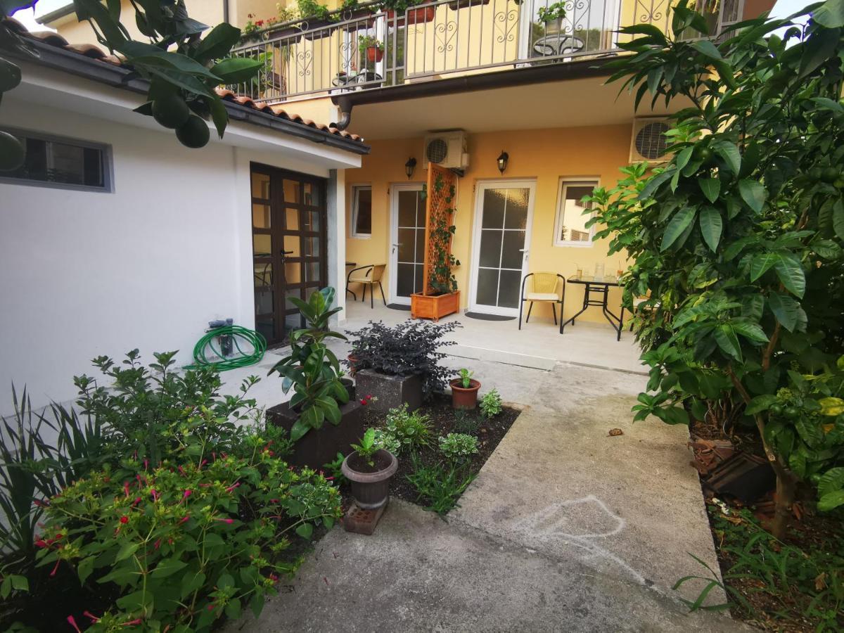 Radović Apartments Budva Zewnętrze zdjęcie